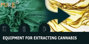 cannabis plant in the left with an arrow pointing toward the right side where an extracted CBD oil is pouring and the title of the article 'cannabis extraction equipment'
