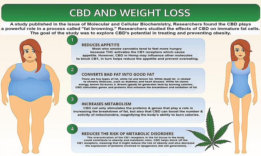 a list of the benefits that cbd gives to the obesity and the weight loss with 2 woman 1 is slim and the other is fat