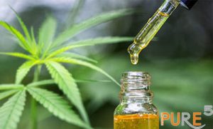 a cannabis leaf plus cbd oil manifactured by pure5's remediation process