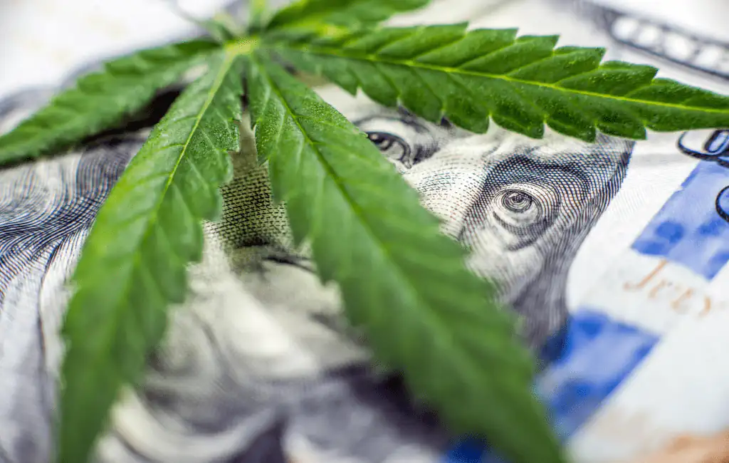 dollar bill under a cannabis leaf
