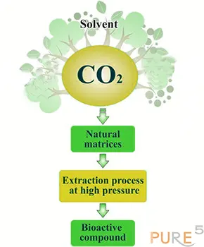 co2 solvent extraction process illustrated