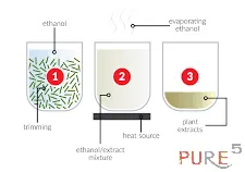 ethanol extraction process explained visually
