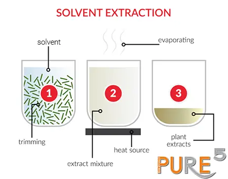 scheme of cannabis solvent extraction process explained in steps easy and beautifully