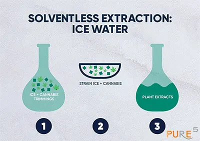 solventless extraction process with cold water explained in details