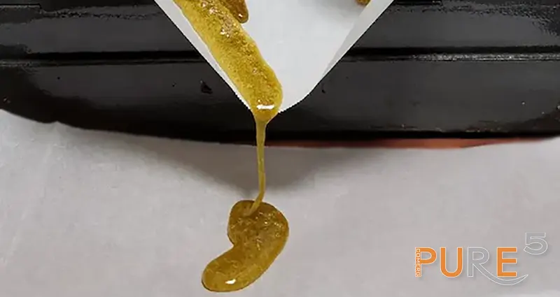 Pouring extracted hashrosin oil