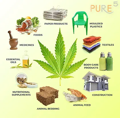 Infographic Cannabis Products