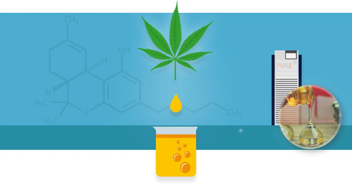 Oxidation Process During Cannabis Extraction visualised on blue background
