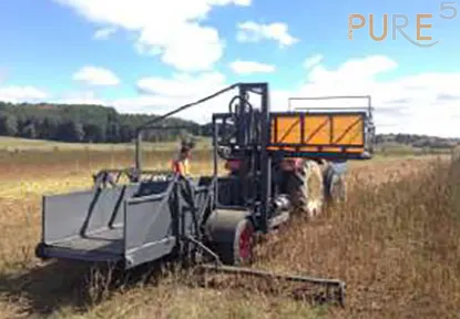 the harvester is harvesting grown cannabis on the field