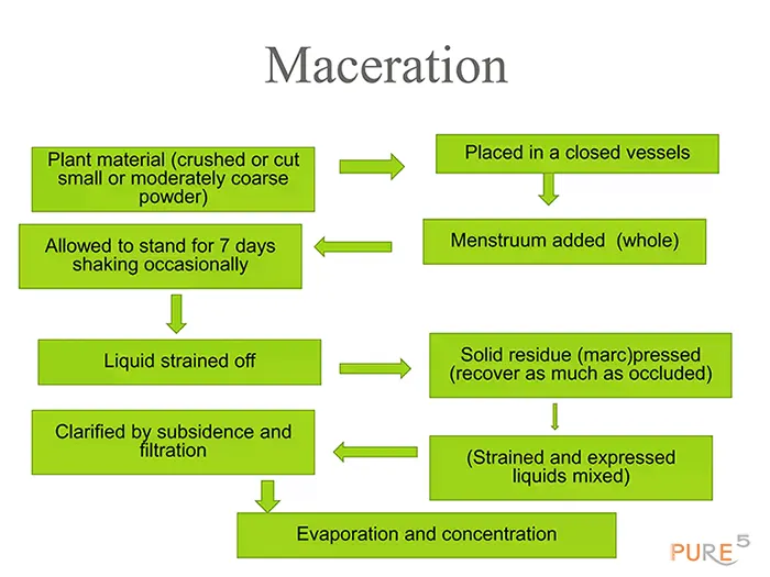Maceration plant extraction process explained with block scheme and arrows in green color