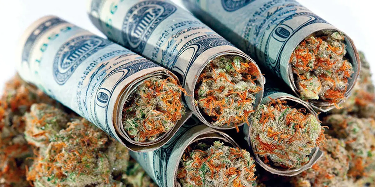 Dollar banknotes rolled around cannabis flowers.