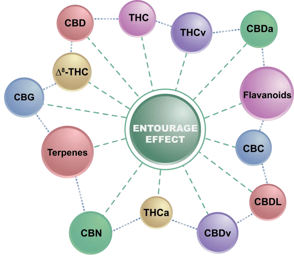 Diagram with CBD entourage effect and related terpenes.