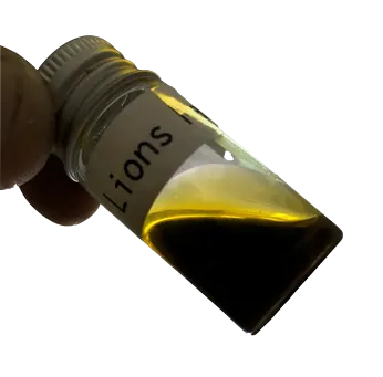 Small bottle with LION’S MANE Extract