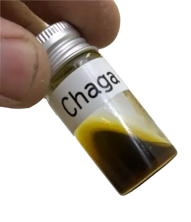 Bottle with chaga extract