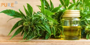 cannabis flower behind extracted cbd oil in a jar - facebook banner