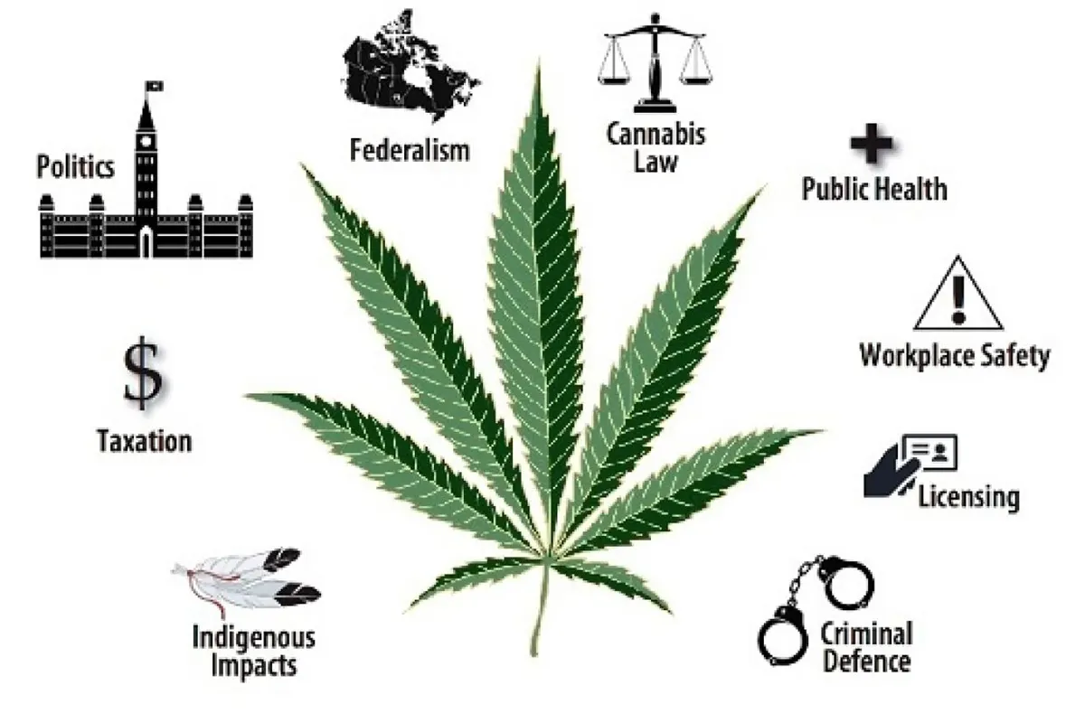 A picture of a cannabis leaf and small icons around it highlighting the potential things to consider about using cannabis extracts for medical purposes.