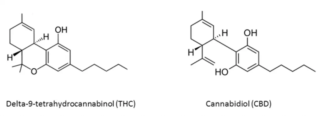 Chemical formulas of CBD and THC