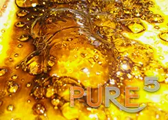 fresh live resin extract in gold color
