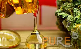 a drop of cannabis distillated oil presented