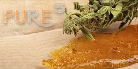 Welcome to the solvent extraction category at PURE5™, where we delve into the intricacies of extracting cannabinoids and terpenes from cannabis plants using various solvents. Our category provides detailed insights into different solvent-based extraction methods, equipment, and industry standards for achieving optimal results. Explore the science behind solvent extraction and learn about different techniques employed to obtain high-quality cannabis concentrates. From understanding the role of solvents to optimizing extraction parameters, our category offers valuable information for both beginners and experienced professionals in the cannabis extraction field. Join us as we delve into topics such as solvent selection, extraction equipment, safety protocols, and quality control measures. Stay updated on the latest developments in solvent extraction technology and gain insights into maximizing efficiency and product quality in your extraction processes with PURE5™.