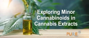 Banner with cannabis leaf, extracted cbd oil with minor cannabinoids in it on a wooden table