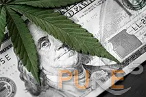money marijuana concept business medicine selling hemp drugs hundred dollar bill usa franklin