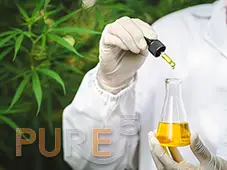 person holding solvent-free extracted cbd oil