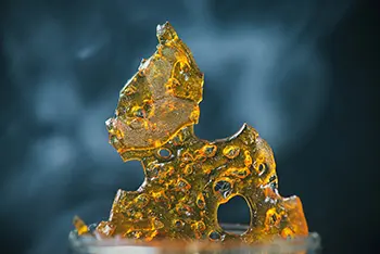 orange cannabis shatter made with vacuum oven