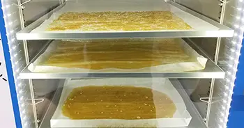 vaccum oven purging BHO extract