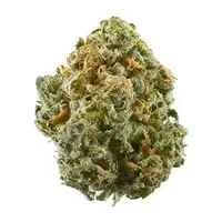 Flower of cannabis strain Blue Dream