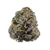 Flower of cannabis strain Granddaddy Purple