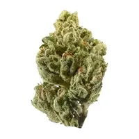 Flower of cannabis strain OG Kush
