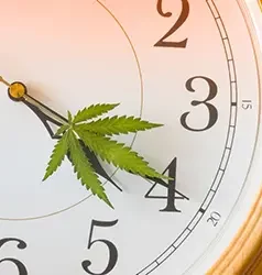 clock-with-cannabis-leave-as-arrow