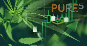 cannabis business with marijuana leaves graph charts market exchange trading analysis investment commercial cannabis medicine money higher value finance trade profit up trends