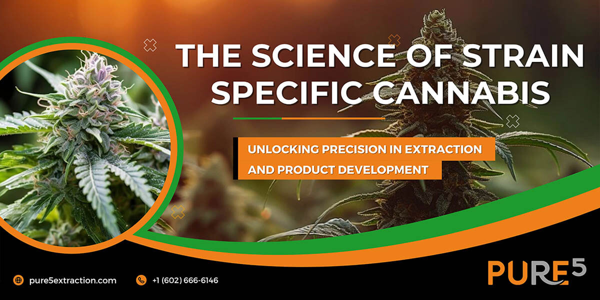 Strain-Specific Cannabis: Precision Extraction with PURE5™