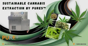Banner with cannabis leaves, flowers and extraction equipment.