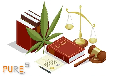 Cannabis Law Books Hammer And Scale