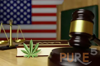 Cannabis Leaf In Law Desk