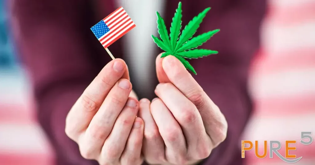 an american flag + cannabis leaf together holded by woman's hands infront of the USA flag