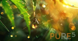 A drop of antioxidant hemp extract and cannabis leaves on background.